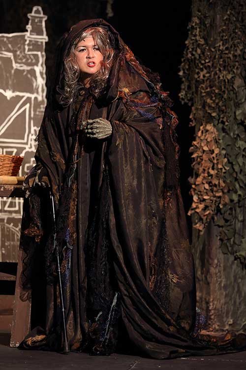 Into the woods - The Witch