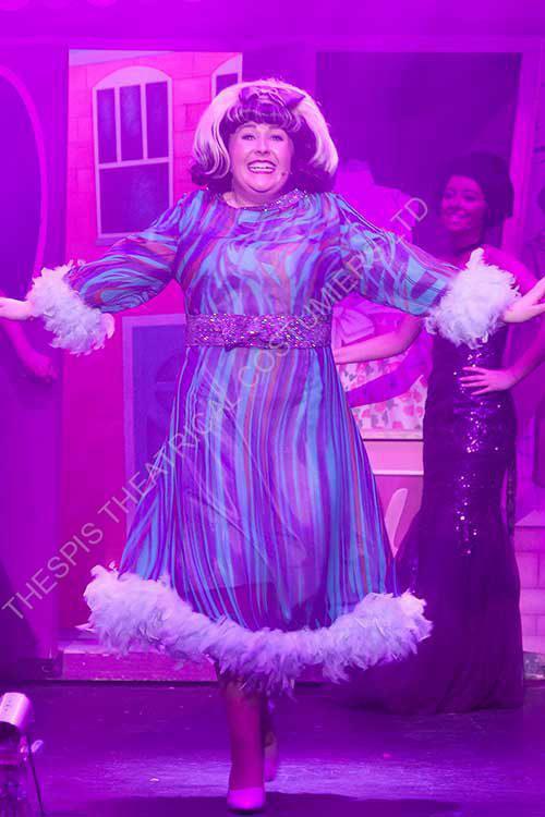 Tracy Turnblad costume hire